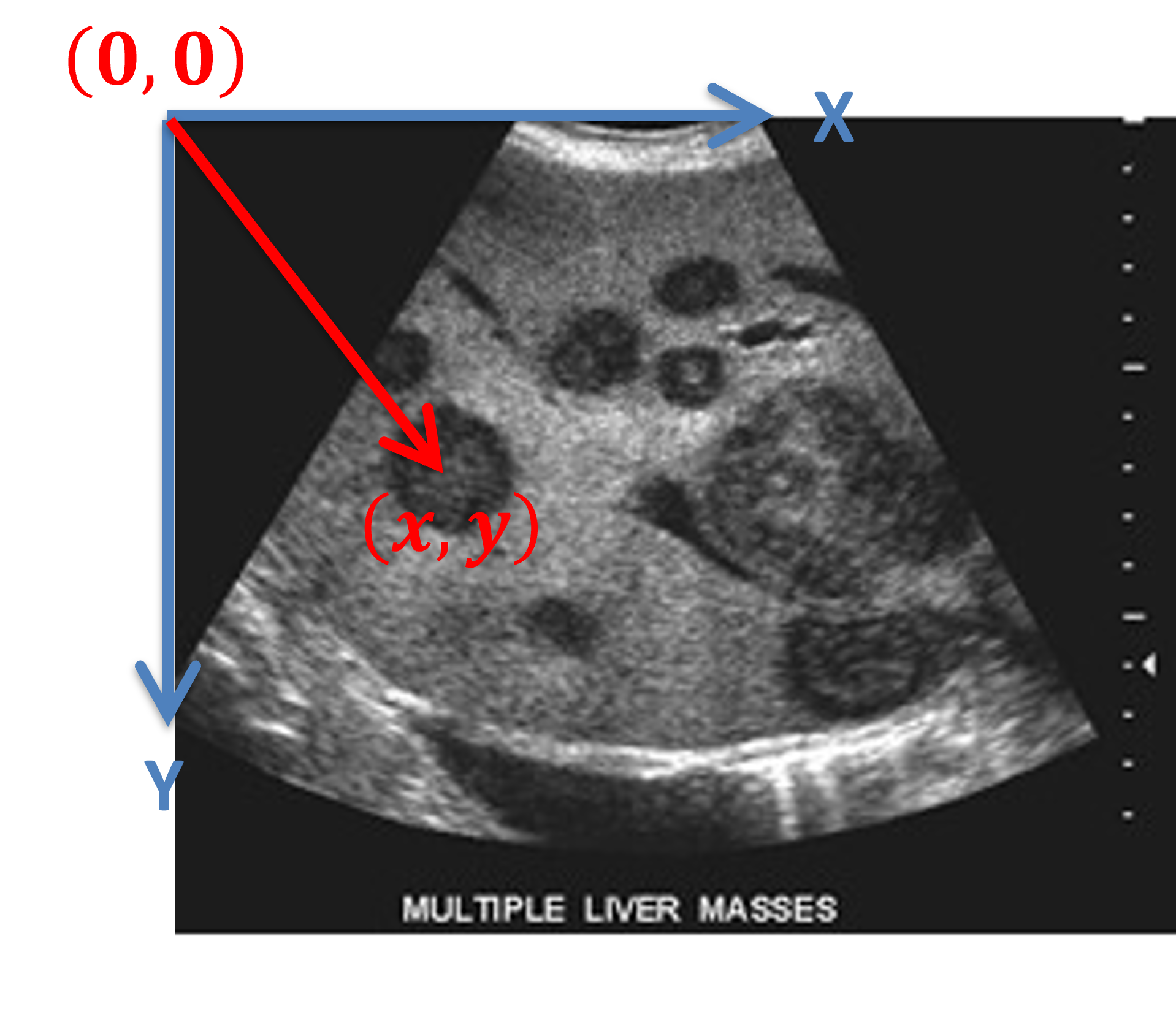 A coordinate system assited to an image