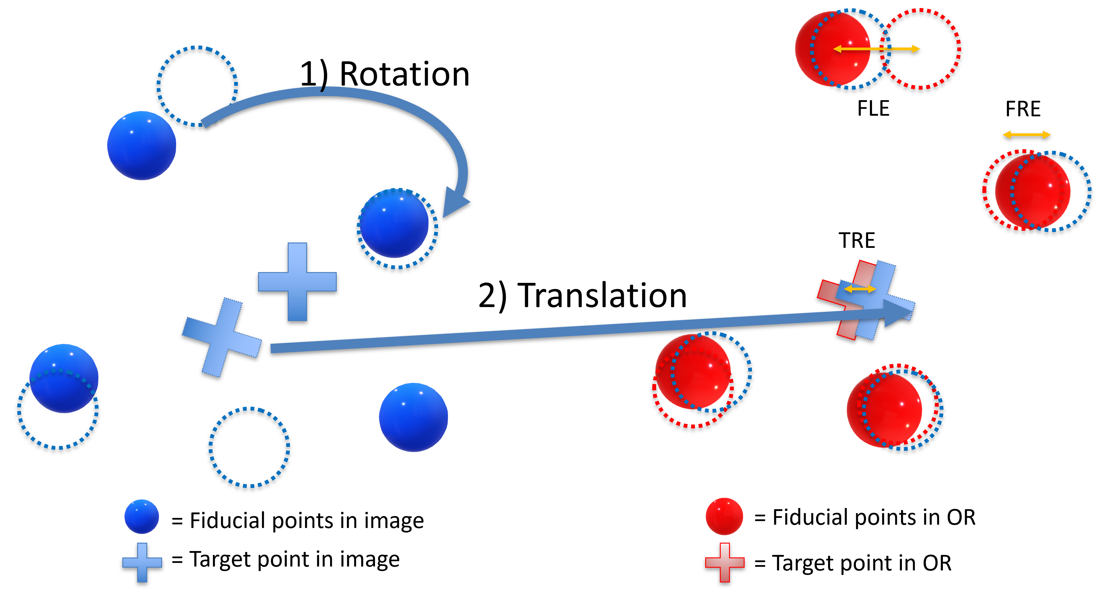 Relationship between TRE and FRE